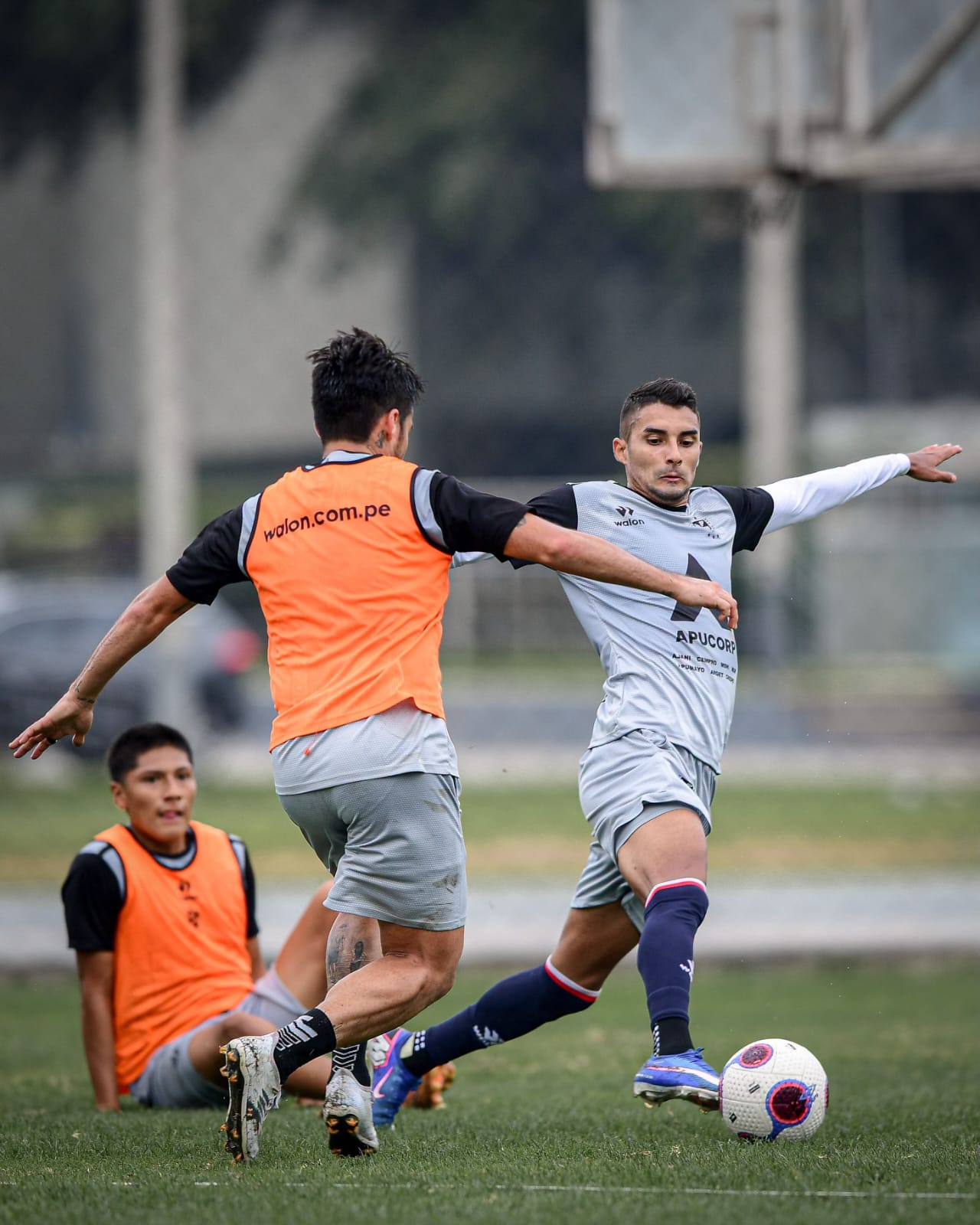 Refuerzo de lujo USMP - CLUB USMP